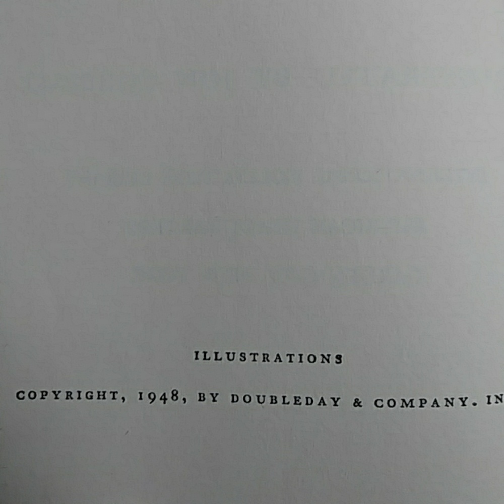 Book - Picture 3 of 4